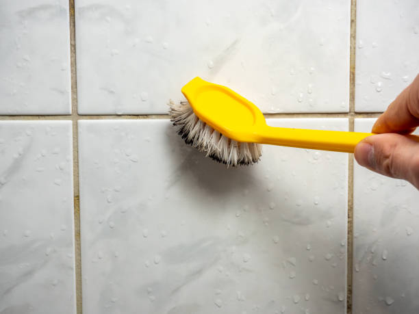 Best Toxic Mold Removal  in Alb, IA